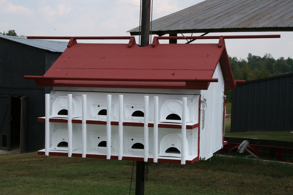 Purple Martin House